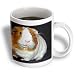 Guinea Pig - Guinea Pig - Mugs