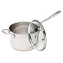 Emerilware Stainless 3-Quart Covered Saucepan with Loop Handle