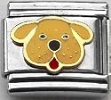 Clearly Charming Dog Face Canine Dog Breed Animal Pet Italian Charm