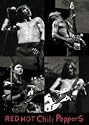 Red Hot Chili Peppers (B&W) Music Poster Print - 24" X 36"