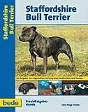 Staffordshire Bull Terrier