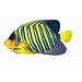 Regal Angelfish Die-Cut Photographic Magnet