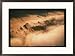 Fog hangs over the Shaker Village at Pleasant Hill Photography Framed Art Poster Print by Sam Abell, 29x21
