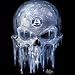 Ice Skull Adult T-Shirt