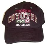 Phoenix Coyotes Mistletoe Santa Hat