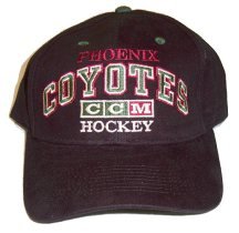 Buy Phoenix Coyotes Practice Cap