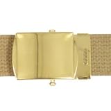 Brass Plated Web Belt Buckle at Galaxy Army Navy
