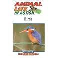 Buy  Animal Life in Action : BIRDS 