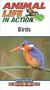 Animal Life in Action : BIRDS (VHS)