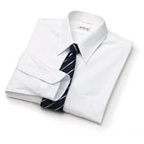 Arrow Wrinkle Free Broadcloth Solid Dress Shirt - Point Collar at ARROW