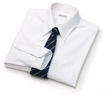 Arrow Wrinkle Free Broadcloth Solid Dress Shirt - Point Collar