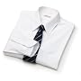Arrow Wrinkle Free Broadcloth Solid Dress Shirt - Point Collar