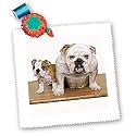 Dogs Bulldog - British Bulldog - Quilt Squares