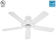 Hunter 23566 Sea Air 52-Inch Outdoor White Ceiling Fan with 5 White Plastic Blades