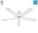 Hunter 23566 Sea Air 52-Inch Outdoor White Ceiling Fan with 5 White Plastic Blades
