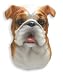 Bulldog Dog Magnet