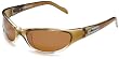 Anarchy Men'S Kronos Resin Sunglasses,Gold Frame/Brown Lens,one size