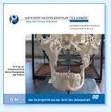 Das Kiefergelenk aus Sicht der Osteopathie-Vortrag Charite