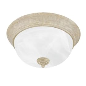 Thomas Lighting - SL8691-16 by Thomas Lighting