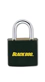 Black Dog 55145 Luggage & Storage Padlock Covered, 3/4 Inch, 2 Pack