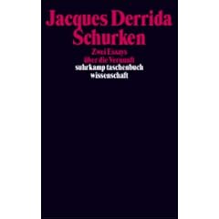 Schurken. Zwei Essays über die Vernunft (Taschenbuch)