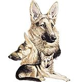 German Shepherd Womens Scoop Neck T-Shirt