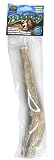 Free Range Buckarooz! Premium Deer Antlers, 10 - 12" Monster