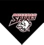 NHL Buffalo Sabres Fleece Throw Blanket