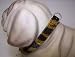 Kitchen & Housewares : Jungle Prince 12in Dog Collar Tiger 1429