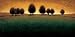 Gregory Williams - Incandescence Size 54.5x27.5 by Gregory Williams. ART PRINT Canvas Rolled. 54.50 inches width by 27.50 inches height. Highest Quality Art Poster Print
