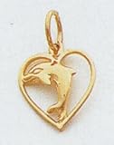 Dolphin Charm