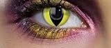 Fancy Dress Yearly Contact Lenses - Yellow Cat & 60ml Solution & Lens Case & Tweezers