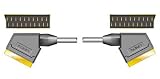 Lindy - Video / audio cable - RGB / S-Video / composite video / audio - SCART (M) - SCART (M) - 3.3 ft