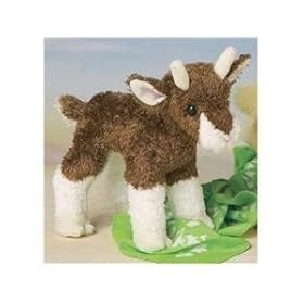  Buffy Baby Goat by Douglas