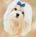 Maltese Woven Lap Square (Throw Blanket)