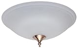 Hunter 28396 Energy Efficient Dual Bowl Light (30watt Circline Flourescent) Frosted