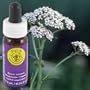 Flower Essence FES Quintessentials Yarrow Supplement Dropper -- 0.25 fl oz