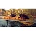 Zoo Med Turtle Dock 10 Gallon