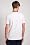 Short Sleeve Jersey Graphic T-Shirt with Circular Logo