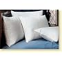 Pacific Coast Touch of Down Super Standard Pillow - Featured in Many Hilton Hotels and Resorts