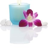 31YGx7RJE1L. SL160  EcoSoya CB Advanced Soy Container candle wax
