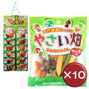 やさい畑　カレンダータイプ　25g×12袋（野菜チップス）　10個セット