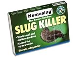 Nemaslug Slug Killer 40 sq m - same-day despatch
