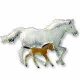 Clearly Charming Mare And Her Foal Sterling Silver and Enamel Pin
