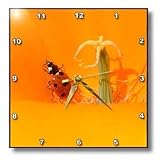 ladybug in a poppy - 10x10 Wall Clock