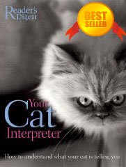 Your Cat Interpreter