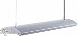 24 inch Giesemann Infiniti 1x250W HQI + 4x24W T5 Light Fixture - Silver