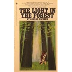 The Light in the Forest