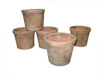 Greenhouse Collection Small Half Pots (Set of 6)