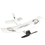 Ed Hardy Special Edition Single Wing RTF Electric RC Airplane-Random Design